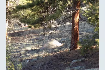 2381 Redhill Road, Fairplay, CO 80440 - Photo 11