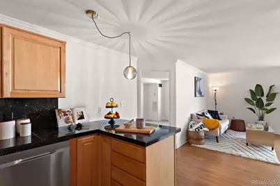 601 W 11th Avenue #503, Denver, CO 80204 - Photo 9