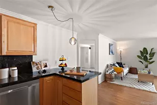 601 W 11th Ave, Denver, CO 80204 - Photo 9