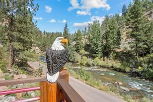 17025 SW Platte River Rd, Pine, CO 80433 - Photo 3