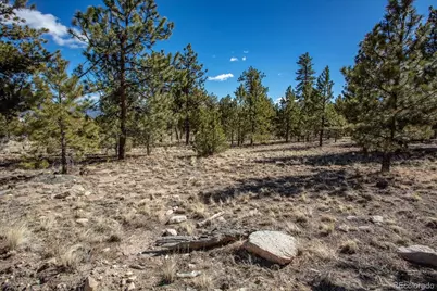 16530 County Road 327, Buena Vista, CO 81211 - Photo 23