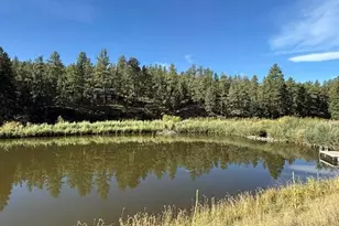 15053 Rainbow Dr, Sedalia, CO 80135 - Photo 35