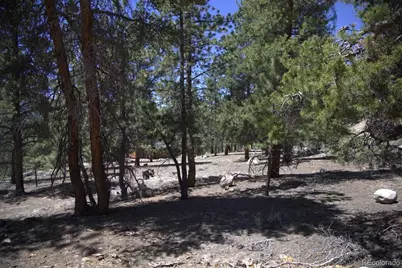 426 Parry Peak Drive, Twin Lakes, CO 81251 - Photo 25