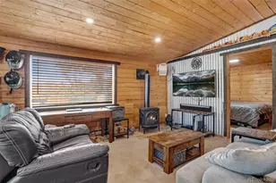 305 Bristlecone Cir, Bailey, CO 80421 - Photo 5