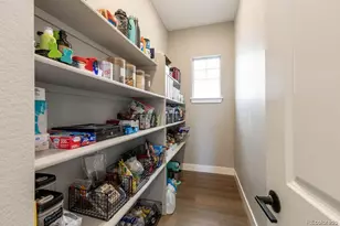 8677 Big Thompson St, Littleton, CO 80125 - Photo 15