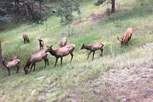 1419 Tamarac Dr, Golden, CO 80401 - Photo 43