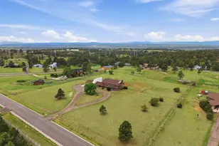 12249 N Pine Vista Trail, Parker, CO 80138 - Photo 43