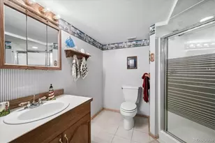410 Spring Dr, Pine, CO 80470 - Photo 31