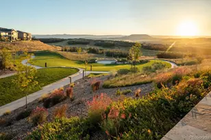 414 Leafy Aster Ln, Castle Rock, CO 80104 - Photo 19