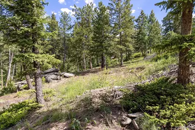 31429 Burke Road, Golden, CO 80403 - Photo 11