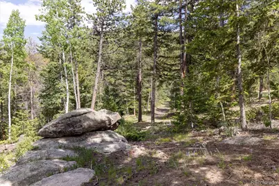 31429 Burke Road, Golden, CO 80403 - Photo 13
