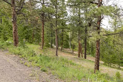 31429 Burke Road, Golden, CO 80403 - Photo 7