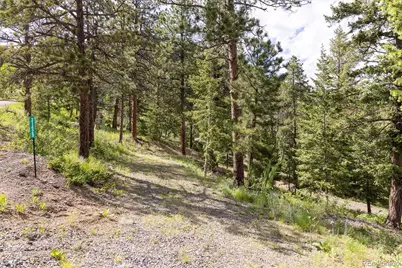 31429 Burke Road, Golden, CO 80403 - Photo 23