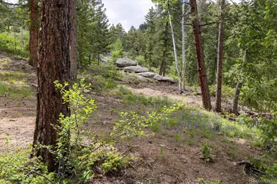 31429 Burke Road, Golden, CO 80403 - Photo 9