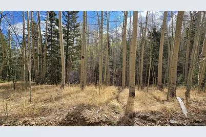 Lot 5244 Crossman Road, Fort Garland, CO 81133 - Photo 23