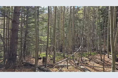 Lot 5244 Crossman Road, Fort Garland, CO 81133 - Photo 15