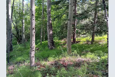 Lot 5244 Crossman Road, Fort Garland, CO 81133 - Photo 7