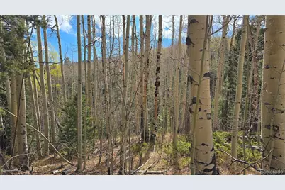 Lot 5244 Crossman Road, Fort Garland, CO 81133 - Photo 21
