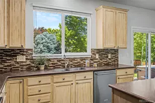 11945 S Black Horn Cir, Parker, CO 80134 - Photo 13