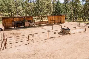 12322 S Wamblee Valley Rd, Conifer, CO 80433 - Photo 7