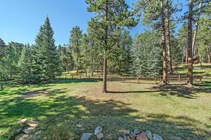 28132 Man O' War Trail, Evergreen, CO 80439 - Photo 31