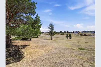 11481 Antelope Lane, Parker, CO 80138 - Photo 5
