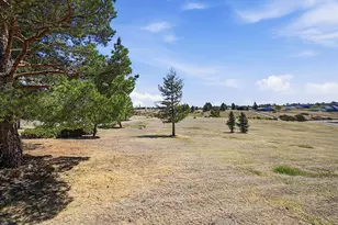 11481 Antelope Ln, Parker, CO 80138 - Photo 5