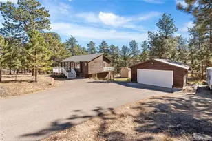 294 Kudu Trail, Bailey, CO 80421 - Photo 3