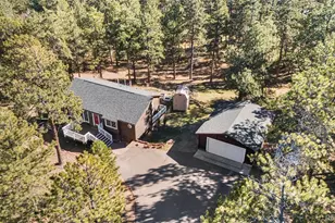 294 Kudu Trail, Bailey, CO 80421 - Photo 37