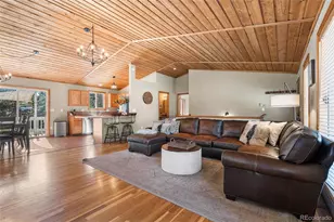 294 Kudu Trail, Bailey, CO 80421 - Photo 7