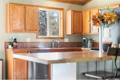 294 Kudu Trail, Bailey, CO 80421 - Photo 15