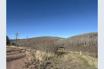 1654 Cary Lane, Fort Garland, CO 81133 - Photo 9