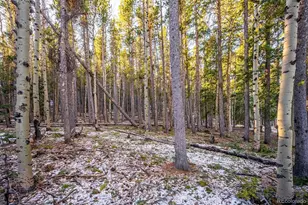 2334 Sinton Rd, Evergreen, CO 80439 - Photo 25