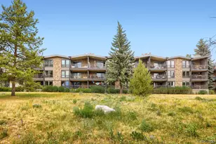 160 E La Bonte Street, Dillon, CO 80435 - Photo 41