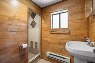 209 Co Rd 308, Dumont, CO 80436 - Photo 13