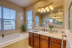 4808 Alberta Falls Way, Colorado Springs, CO 80924 - Photo 21