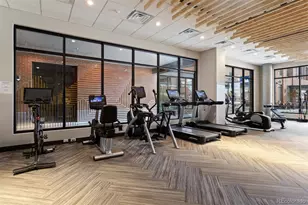 20 Wilcox Street, Castle Rock, CO 80104 - Photo 33