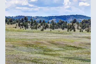 3360 Cahokia Road, Hartsel, CO 80449 - Photo 3