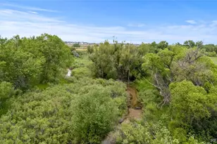5909 Los Olivas Pt, Parker, CO 80134 - Photo 39