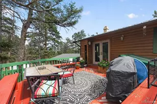 27231 Log Trail, Conifer, CO 80433 - Photo 23