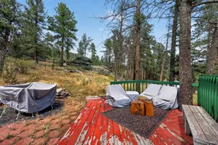 27231 Log Trail, Conifer, CO 80433 - Photo 25
