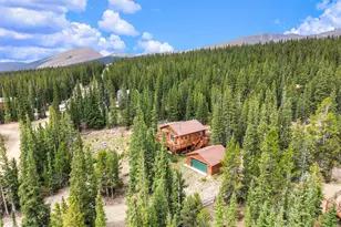 369 Prunes Pl, Fairplay, CO 80440 - Photo 13