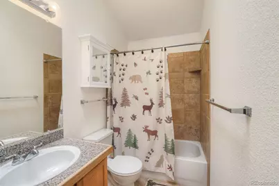 369 Prunes Place, Fairplay, CO 80440 - Photo 21