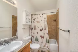 369 Prunes Pl, Fairplay, CO 80440 - Photo 21