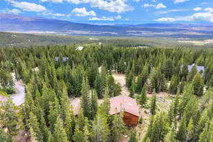 369 Prunes Pl, Fairplay, CO 80440 - Photo 25