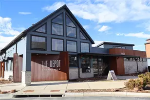 9287 Twenty Mile Road, Parker, CO 80134 - Photo 27