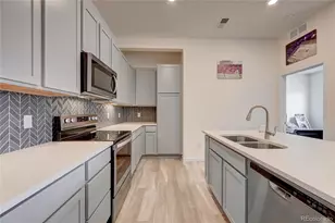 9287 Twenty Mile Road, Parker, CO 80134 - Photo 11