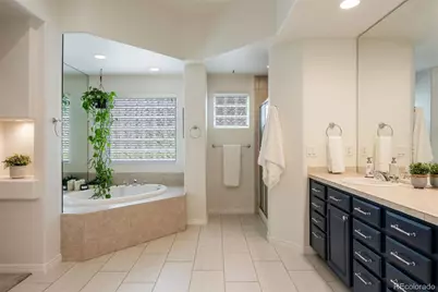 3104 Ramshorn Drive, Castle Rock, CO 80108 - Photo 23