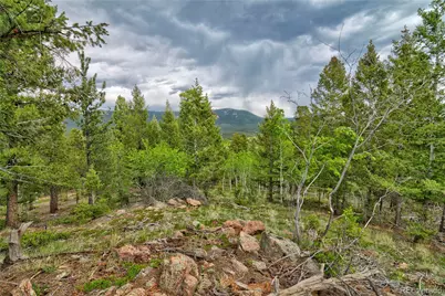 130 Summit Way, Bailey, CO 80421 - Photo 21