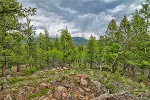 130 Summit Way, Bailey, CO 80421 - Photo 21